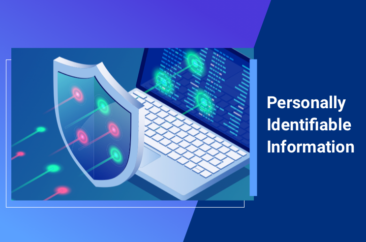 personally-identifiable-information-what-is-pii-data-termly