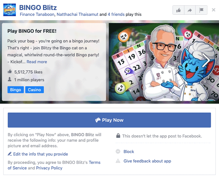 Example Facebook privacy policy link on Bingo Blitz game