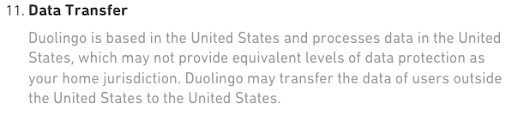 Duolingo-privacy-policy-International-Data-Transfers