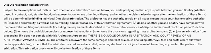 spotify terms and conditions example 4