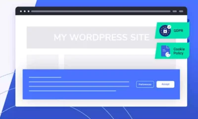 termly-wordpress-plugin-update